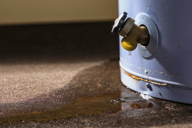 Best Water damage cleanup near me  in Chester, NY