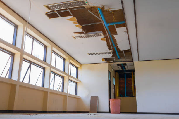 Best Flood damage cleanup  in Chester, NY
