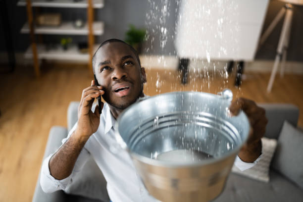 Best Commercial water damage restoration  in Chester, NY