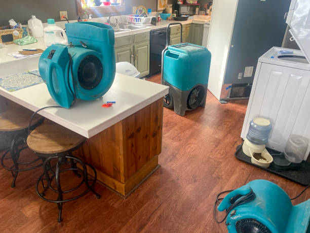 Best Carpet water damage restoration  in Chester, NY