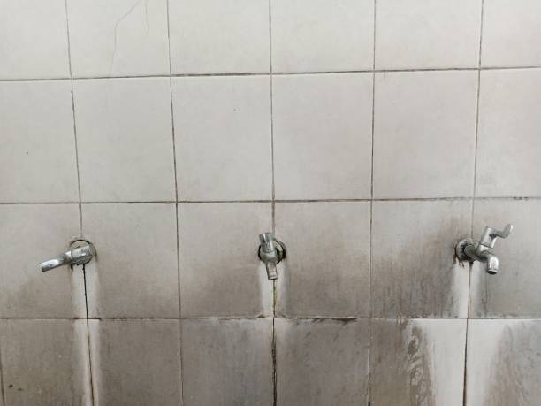 Best Fire Damage Restoration  in Chester, NY