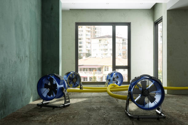 Best Emergency water damage restoration  in Chester, NY